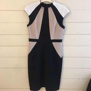 Maggy London Black, tan, white colorblock sheath